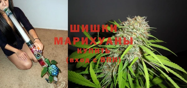 кокс Бородино