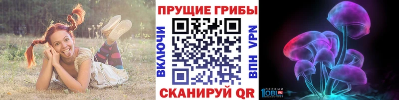 закладки  Пенза  Галлюциногенные грибы Psilocybe 